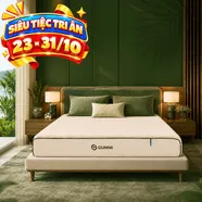 Nệm cao su thiên nhiên cân bằng nhiệt 3in1 Gummi Hybrid Plus
