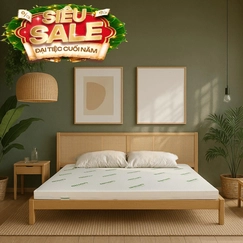 Nệm cao su thiên nhiên Gummi Classic thế hệ mới dày 5/10/15cm
