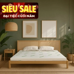 Nệm cao su thiên nhiên Gummi Classic thế hệ mới dày 5/10/15cm