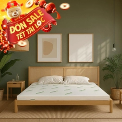 Nệm cao su thiên nhiên Gummi Classic thế hệ mới dày 5/10/15cm