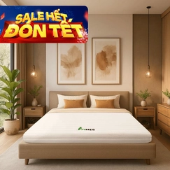 Nệm cao su Gummi 7zones nhập khẩu dày 12cm