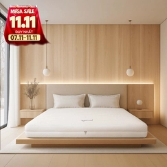 Nệm cao su cao cấp Gummi Legend nhập khẩu dày 20cm