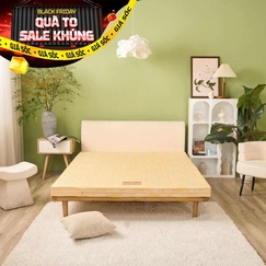 Nệm bông ép Wonjun Pure Carbon kháng khuẩn ưu việt dày 10cm gấp 2