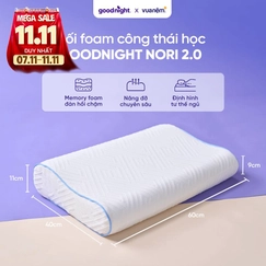Gối foam công thái học cao cấp Goodnight Nori 2.0