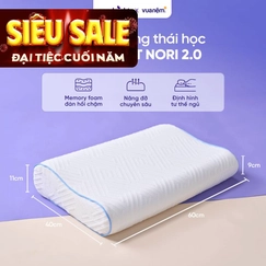 Gối foam công thái học cao cấp Goodnight Nori 2.0