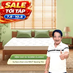(Quà 8 món) Nệm cao su thiên nhiên Gummi Classic thế hệ mới dày 5/10/15cm