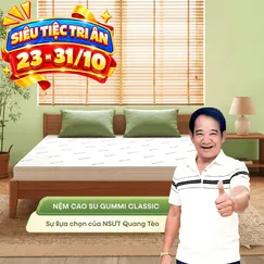 (Quà 8 món) Nệm cao su thiên nhiên Gummi Classic thế hệ mới dày 5/10/15cm
