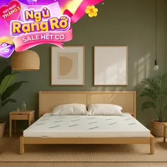 Nệm cao su thiên nhiên Gummi Classic thế hệ mới dày 5/10/15cm