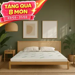 Nệm cao su thiên nhiên Gummi Classic thế hệ mới dày 5/10/15cm