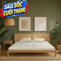 Nệm cao su thiên nhiên Gummi Classic thế hệ mới dày 5/10/15cm