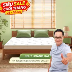 (Giảm 4,5 triệu) Nệm cao su thiên nhiên Gummi Classic thế hệ mới dày 5/10/15cm