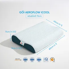 Gối foam Aeroflow iCool làm mát công thái học