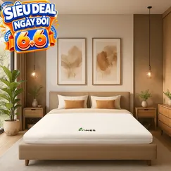 Nệm cao su Gummi 7zones nhập khẩu dày 12cm