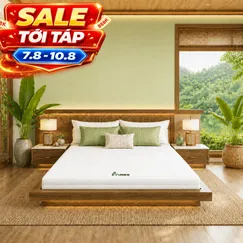 Nệm cao su Gummi 7zones nhập khẩu dày 12cm