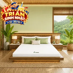 Nệm cao su Gummi 7zones nhập khẩu dày 12cm