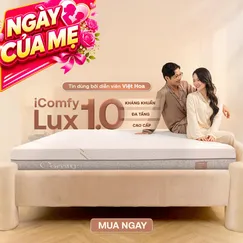 Nệm foam làm mát, kháng khuẩn nâng đỡ 5 vùng Comfy Lux 1.0