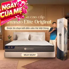 Nệm lò xo Amando Elite Original túi độc lập tiêu chuẩn khách sạn 5 sao dày 23cm