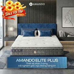 Nệm lò xo túi độc lập Amando Elite Plus ngủ mát, êm sâu dày 25cm