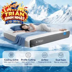 [BST Ngủ Mát] Nệm foam iComfy Coolax Plus Băng Lạnh Đa Tầng Dày 20cm