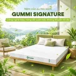 Nệm Gummi Signature – Công nghệ kép, nâng đỡ vượt trội, kháng khuẩn tối đa