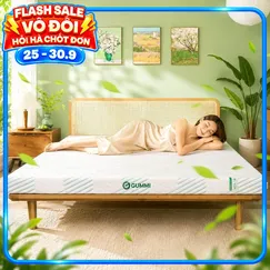 Nệm Gummi Signature – Công nghệ kép, nâng đỡ vượt trội, kháng khuẩn tối đa