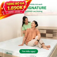 Nệm Gummi Signature – Công nghệ kép, nâng đỡ vượt trội, kháng khuẩn tối đa