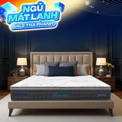 [Mới - Độc quyền] Nệm lò xo túi độc lập 3 vùng Dunlopillo de.Stress Powerful