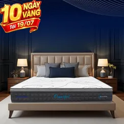 [Mới - Độc quyền] Nệm lò xo túi độc lập 3 vùng Dunlopillo de.Stress Powerful