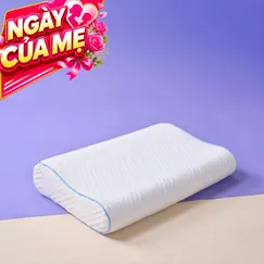 Gối foam công thái học cao cấp Goodnight Nori 2.0