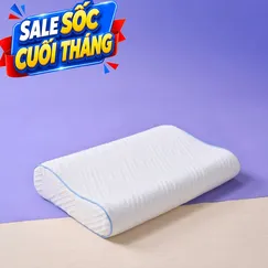 Gối foam công thái học cao cấp Goodnight Nori 2.0