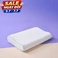 Gối foam công thái học cao cấp Goodnight Nori 2.0