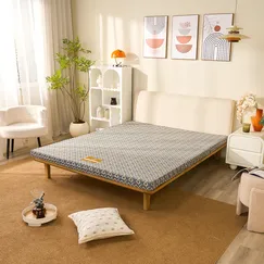Nệm Bông ép Wonjun Pure (Gấp 3)