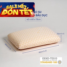 Gối Cao su Dreamland Ovan