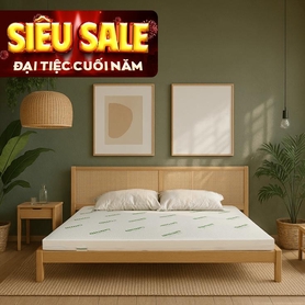 Nệm cao su thiên nhiên Gummi Classic thế hệ mới dày 5/10/15cm