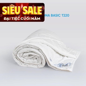 Ruột chăn bông Doona Basic cao cấp