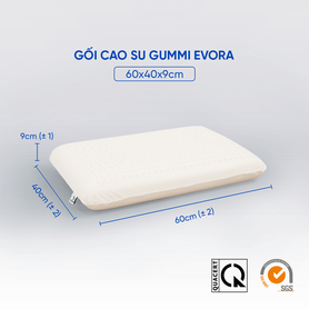 Gối cao su Gummi Evora 100% thiên nhiên massage thoáng khí