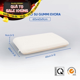 Gối cao su Gummi Evora 100% thiên nhiên massage thoáng khí