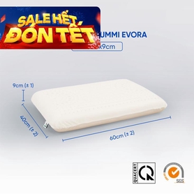 Gối cao su Gummi Evora 100% thiên nhiên massage thoáng khí