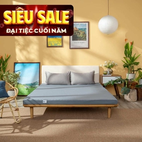 Nệm foam Goodnight Osaka massage lượn sóng dày 9cm