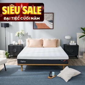 (Phiên bản giới hạn) Nệm Foam Tempur Pro Plus Firm cân bằng trọng lực dày 25cm
