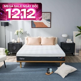 (Phiên bản giới hạn) Nệm Foam Tempur Pro Plus Firm cân bằng trọng lực dày 25cm
