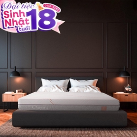Nệm foam làm mát, kháng khuẩn nâng đỡ 5 vùng Comfy Lux 1.0