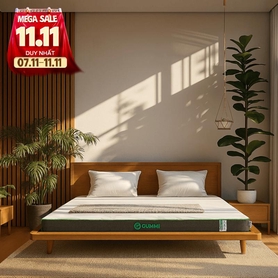 Nệm cao su thiên nhiên Gummi Premium detox giấc ngủ dày 10cm