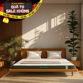 Nệm cao su thiên nhiên Gummi Premium detox giấc ngủ dày 10cm