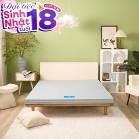 Nệm bông ép Wonjun Pure & Fresh dày 5/9cm gấp 3