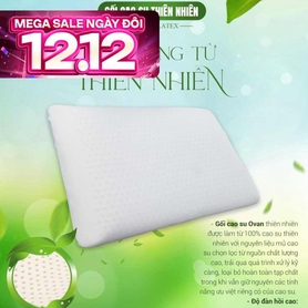 Gối Cao su Dreamland Ovan