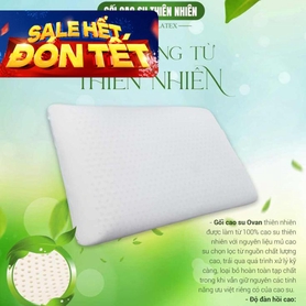 Gối Cao su Dreamland Ovan