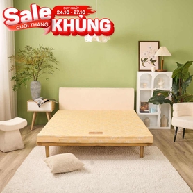 Nệm bông ép Wonjun Pure Carbon kháng khuẩn ưu việt dày 10cm gấp 2
