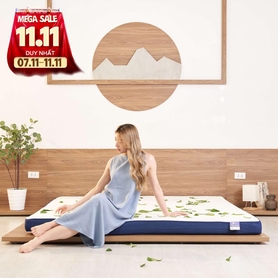 Nệm foam Goodnight Nagoya kháng khuẩn dày 12cm