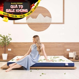 Nệm foam Goodnight Nagoya kháng khuẩn dày 12cm